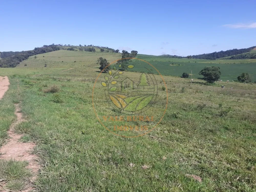 Fazenda - Foto 7