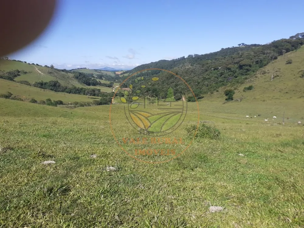 Fazenda - Foto 3