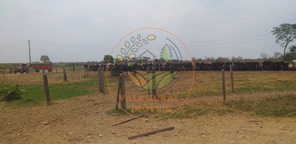 Fazenda, 1 hectares - Foto 2