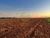 Fazenda - Foto 6