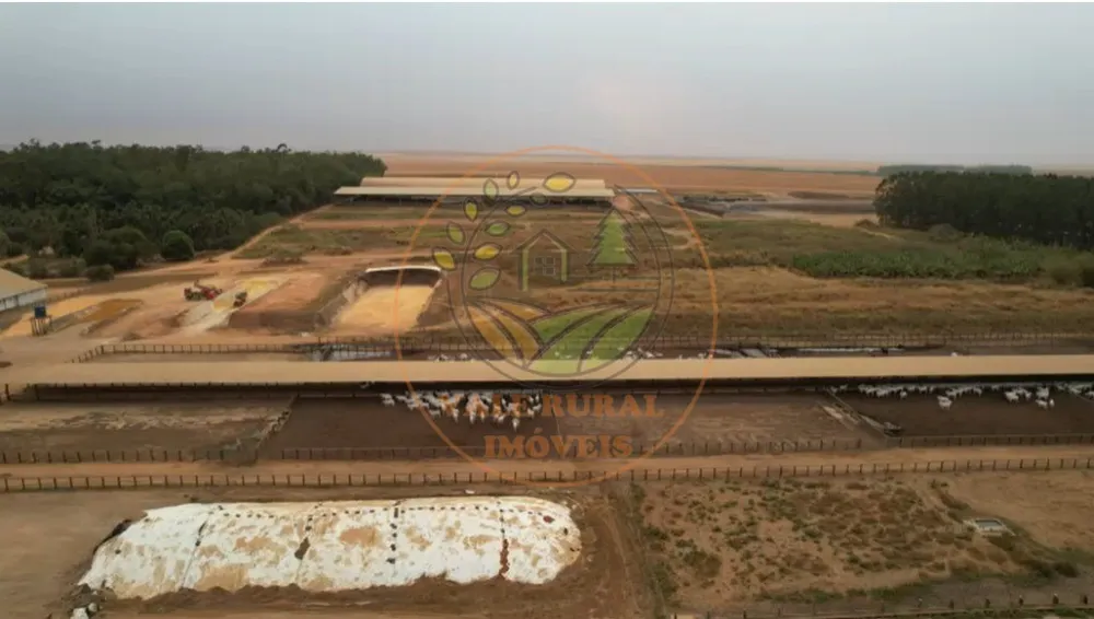 Fazenda - Foto 8
