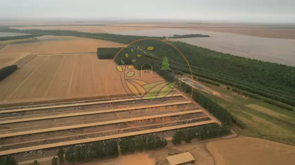 Fazenda - Foto 6