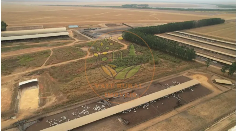 Fazenda - Foto 9