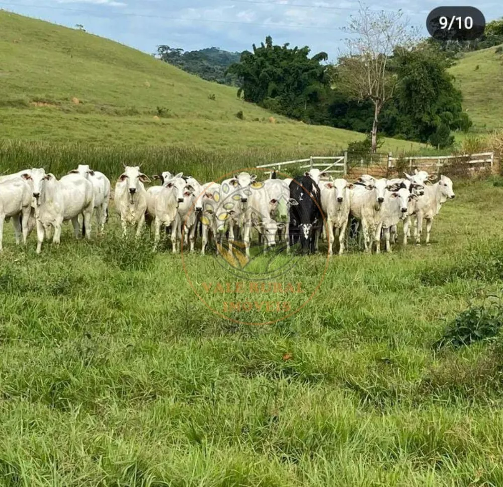 Fazenda, 78 m² - Foto 2