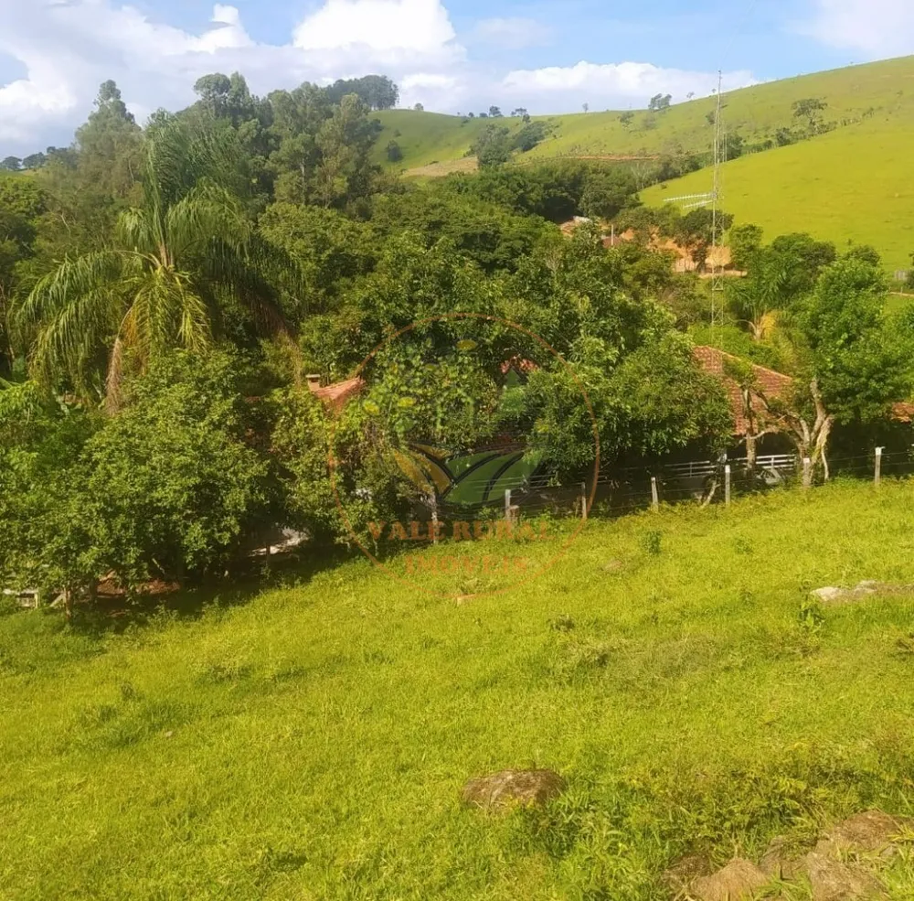 Sítio, 3 quartos, 23000 m² - Foto 4