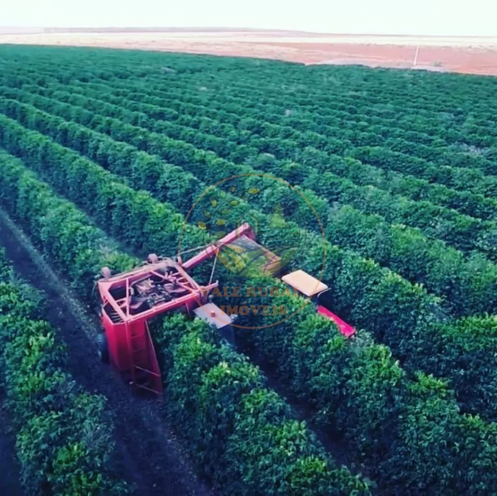 Fazenda, 1 quarto - Foto 6