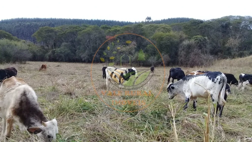 Fazenda, 1 quarto - Foto 5