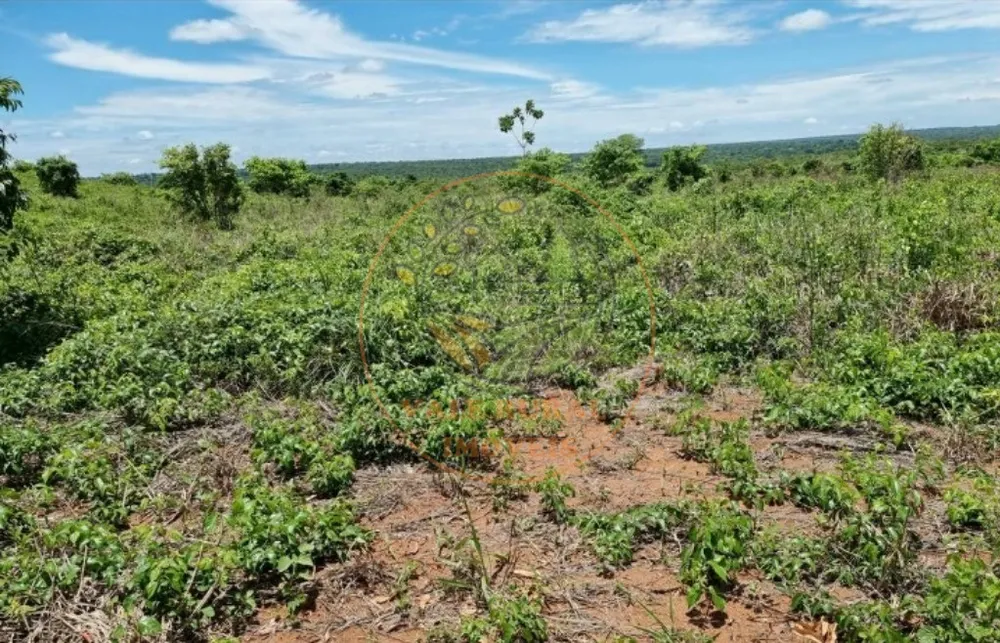 Fazenda - Foto 6