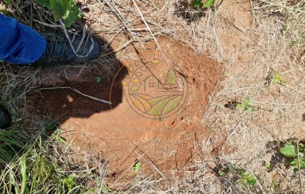 Fazenda - Foto 4