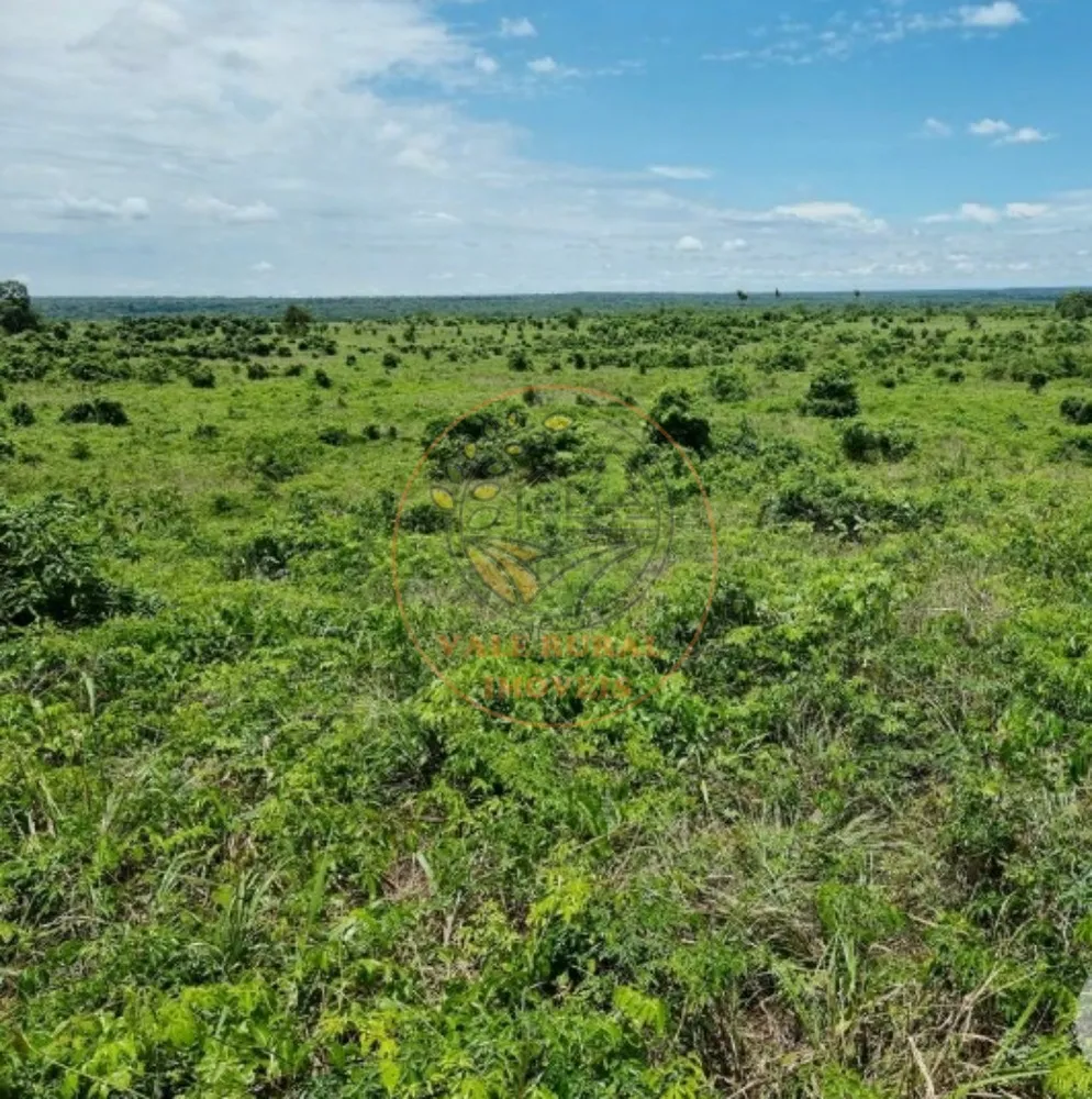 Fazenda - Foto 2