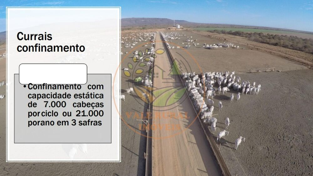 Fazenda, 1 quarto - Foto 7