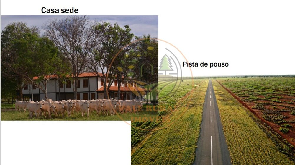 Fazenda, 1 quarto - Foto 4