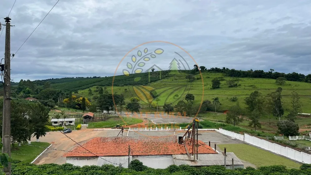 Fazenda - Foto 4