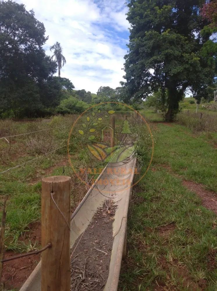Fazenda - Foto 2