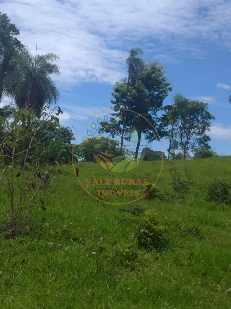 Fazenda - Foto 3