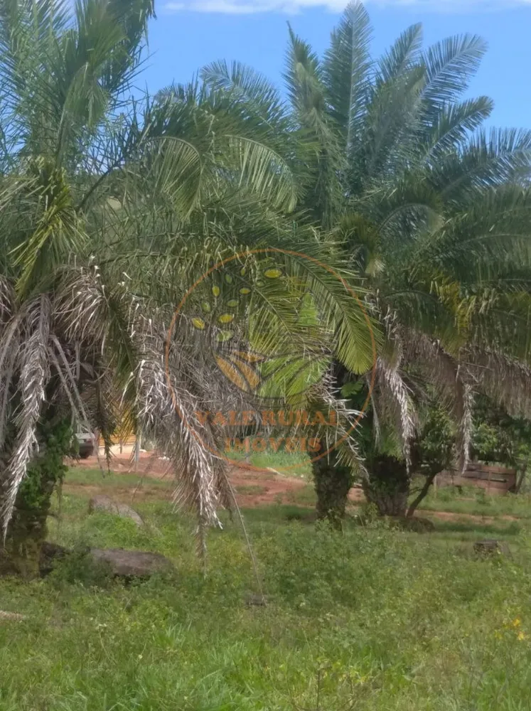Fazenda - Foto 5