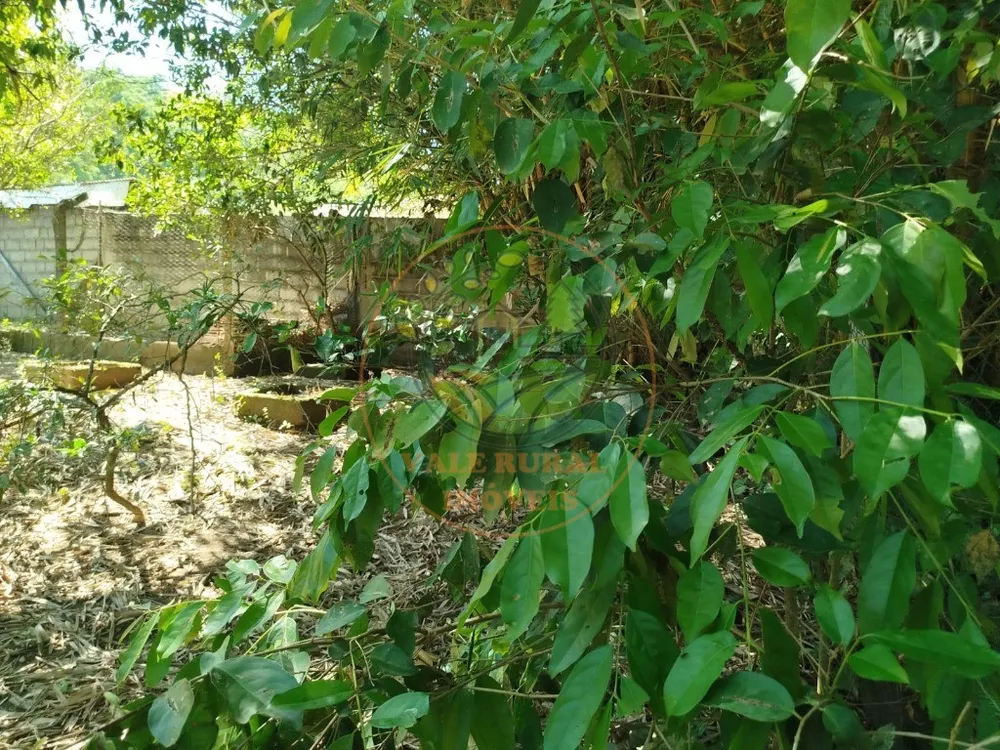 Chácara, 3 quartos - Foto 4