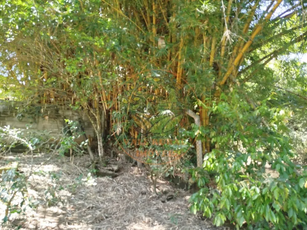 Chácara, 3 quartos - Foto 6