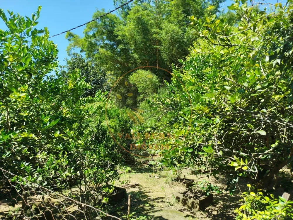 Chácara, 3 quartos - Foto 1
