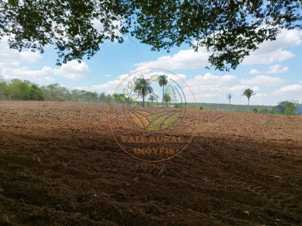 Fazenda, 2 quartos - Foto 4