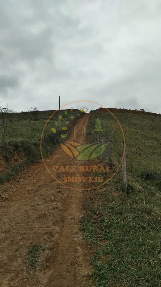 Fazenda, 2 hectares - Foto 3