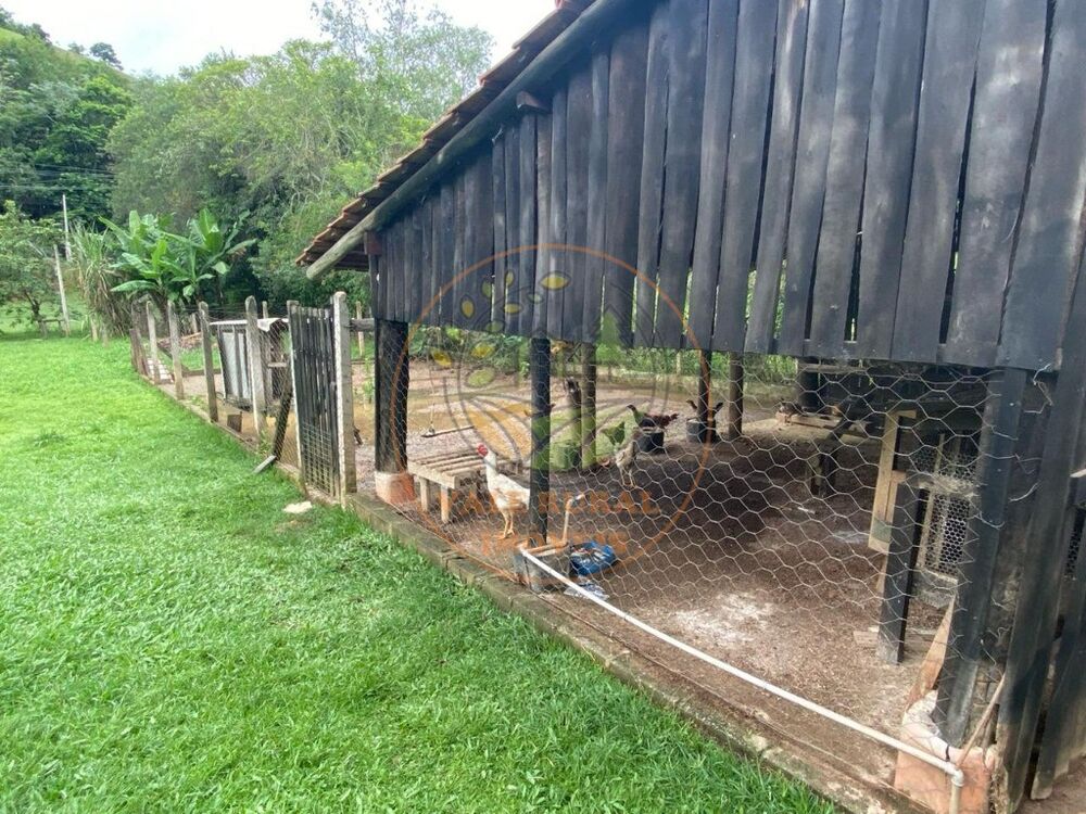 Sítio, 3 quartos - Foto 4