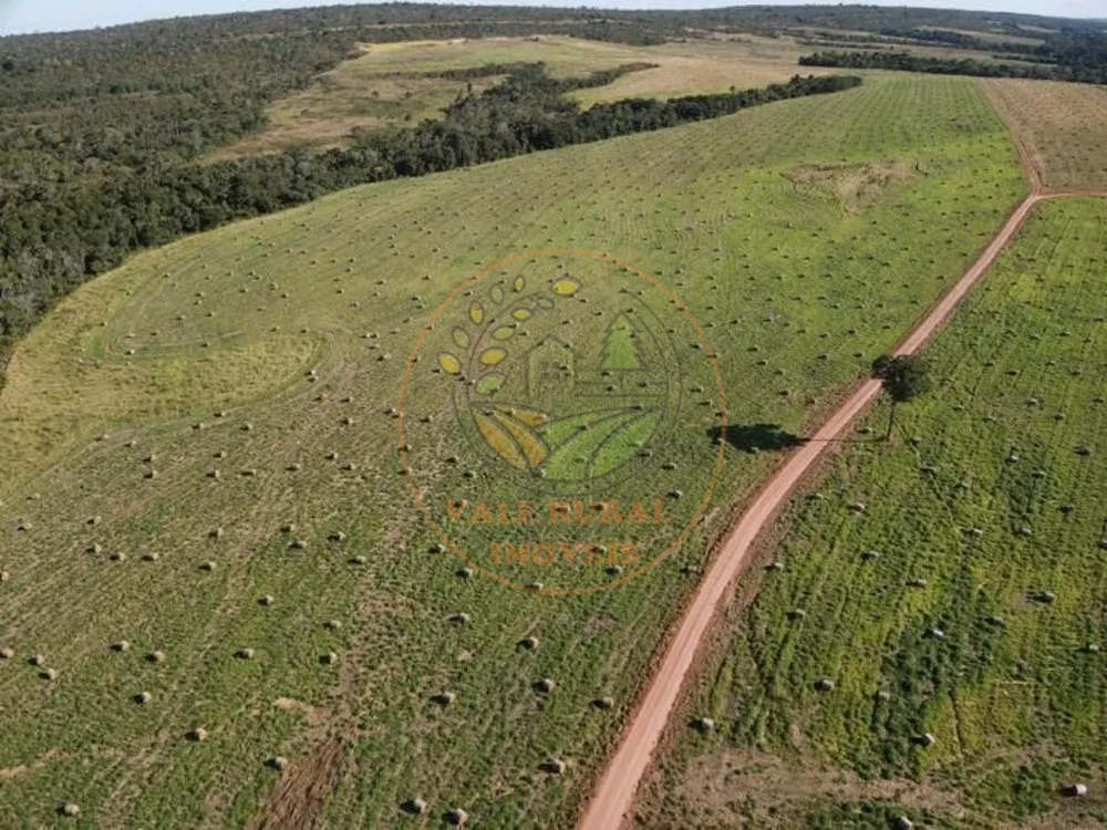 Fazenda - Foto 1