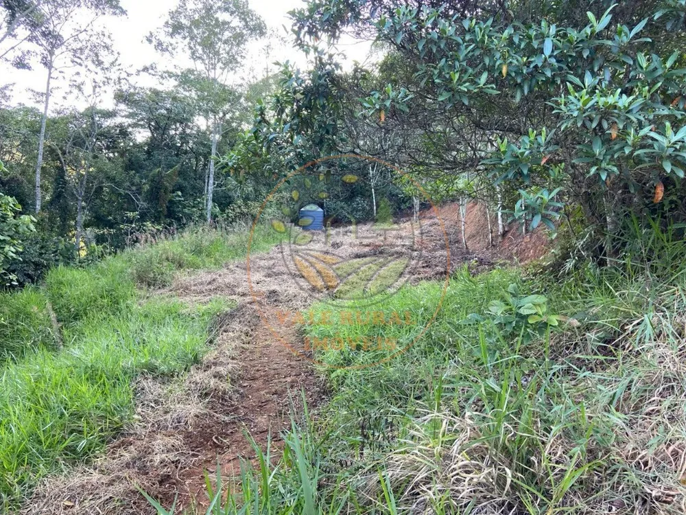 Chácara, 4 quartos - Foto 8