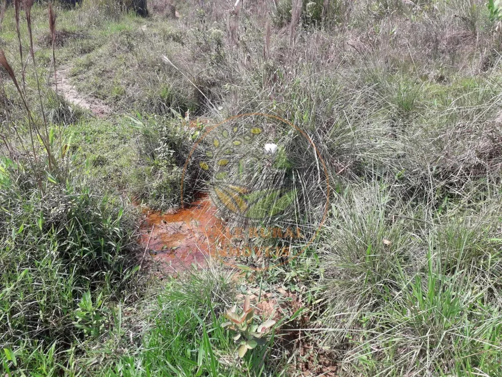 Haras e Área Rural Padrão à venda, 20000m² - Foto 7