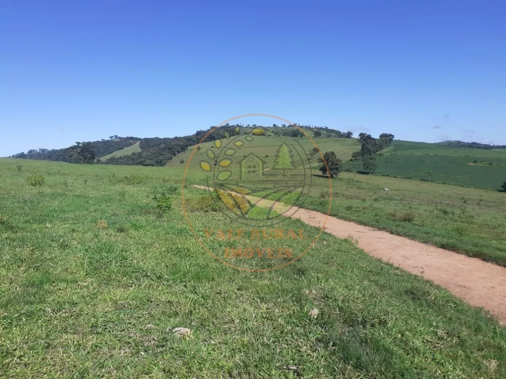 Fazenda à venda - Foto 4