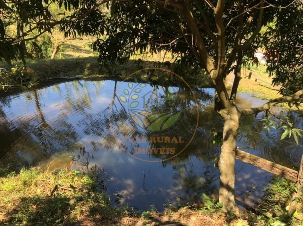 Sítio, 3 quartos, 2 hectares - Foto 6