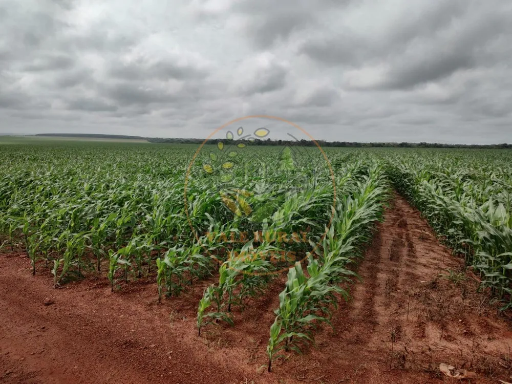 Fazenda - Foto 6