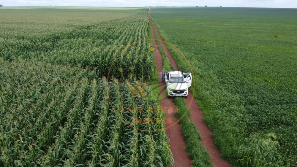 Fazenda - Foto 3