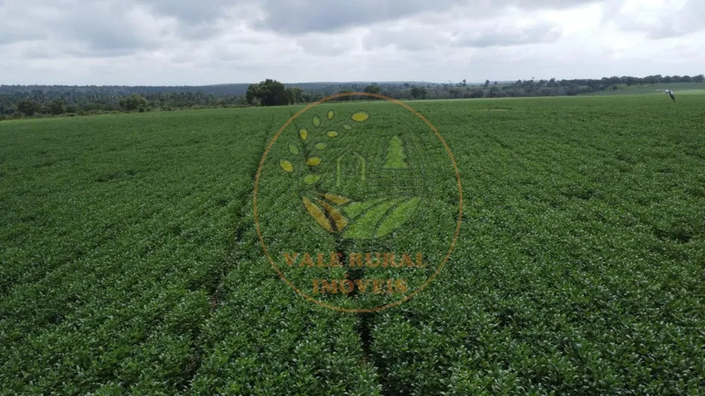 Fazenda - Foto 3