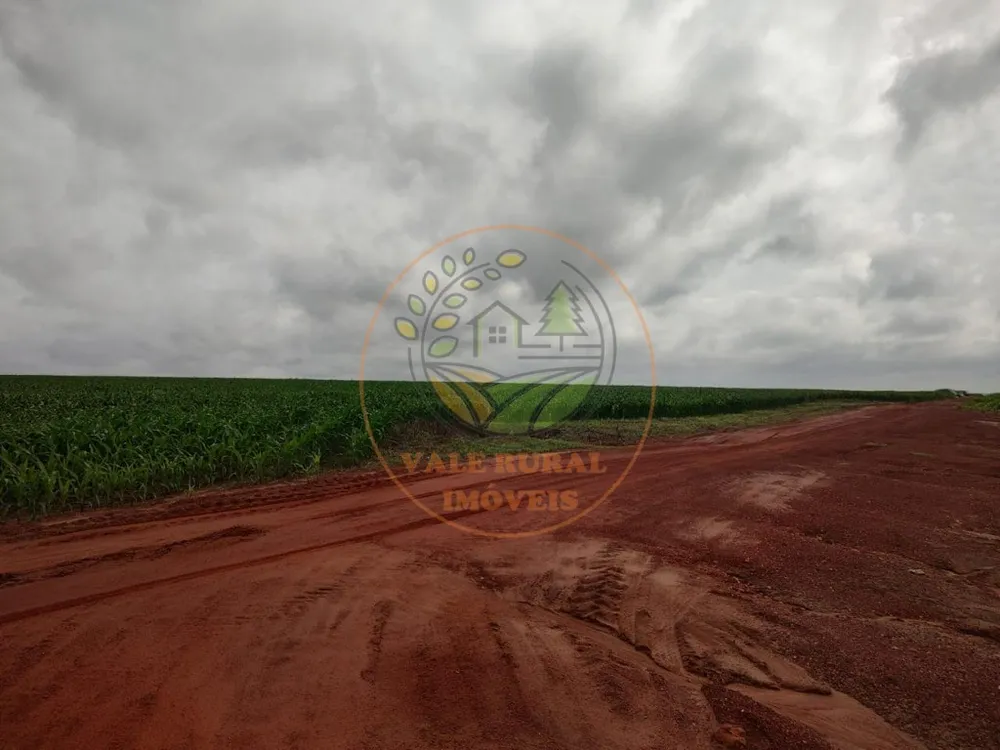 Fazenda - Foto 7