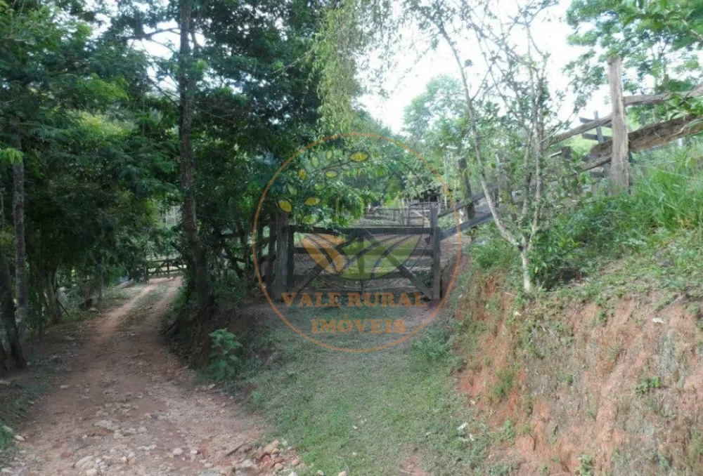 Sítio, 3 quartos - Foto 6