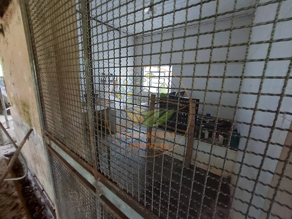Sítio, 3 quartos, 9 m² - Foto 1