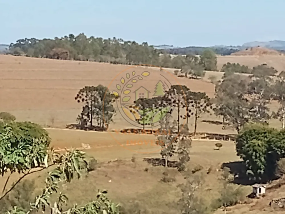 Fazenda, 285 m² - Foto 4