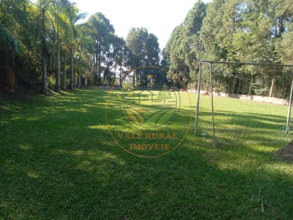 Sítio, 4 quartos, 6 m² - Foto 4