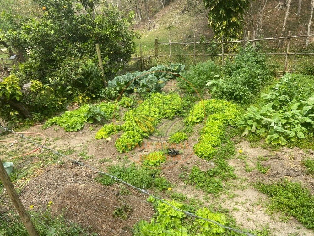 Sítio, 2 quartos - Foto 3