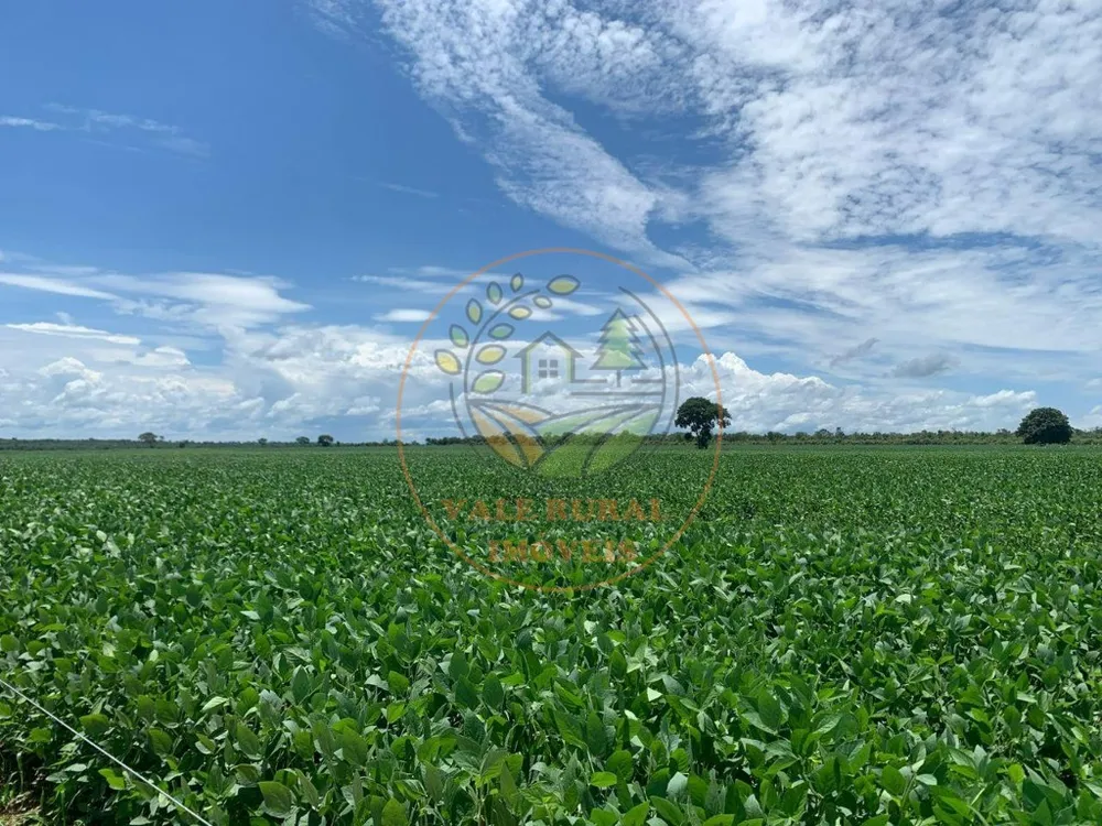 Fazenda, 2 quartos - Foto 2