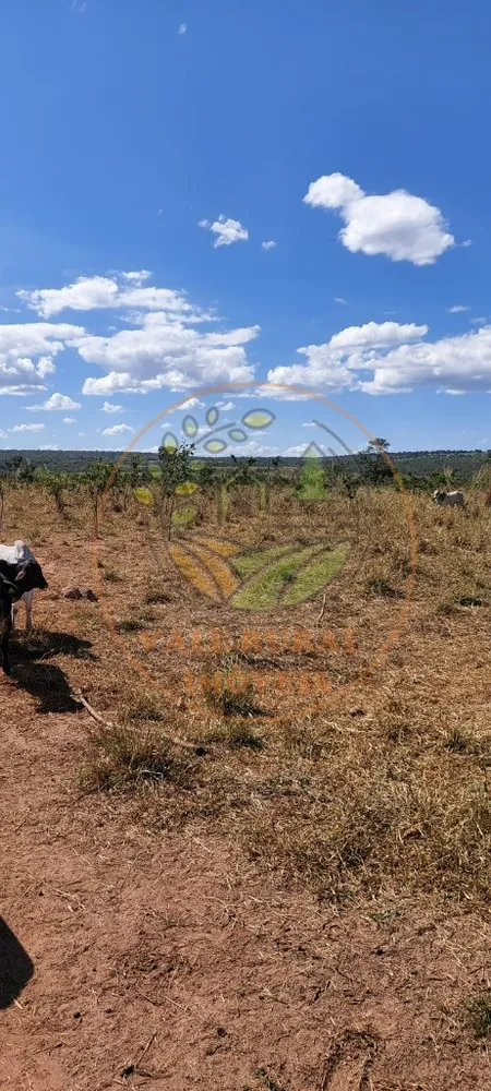 Fazenda - Foto 5
