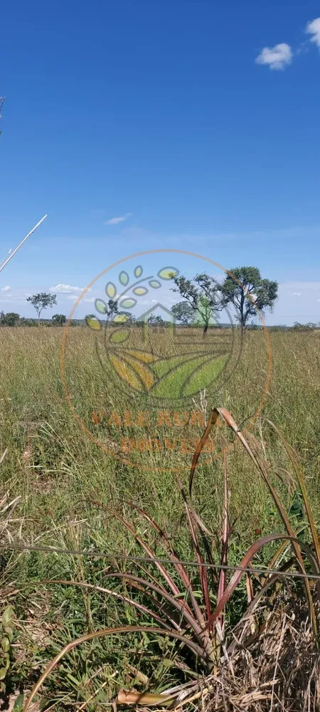 Fazenda - Foto 8