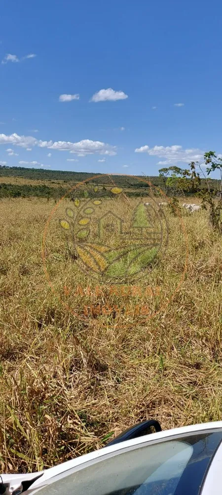 Fazenda - Foto 7