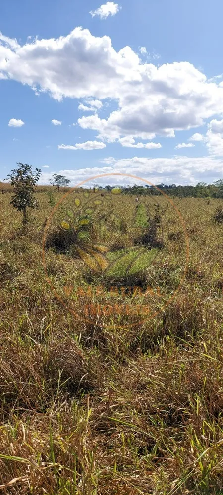 Fazenda - Foto 4