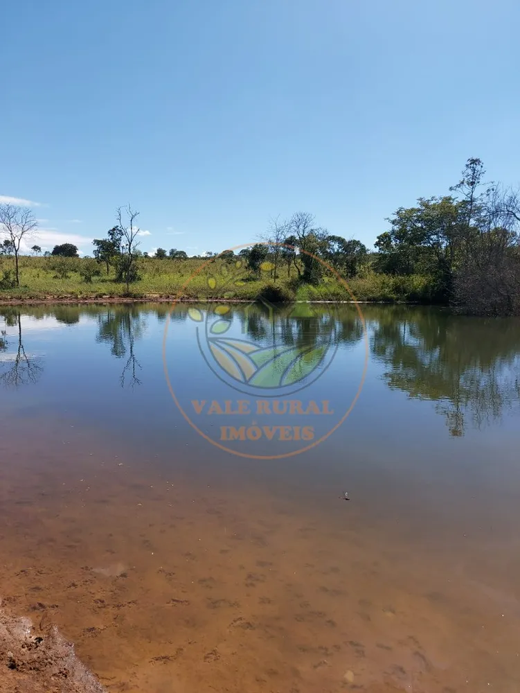 Fazenda - Foto 1