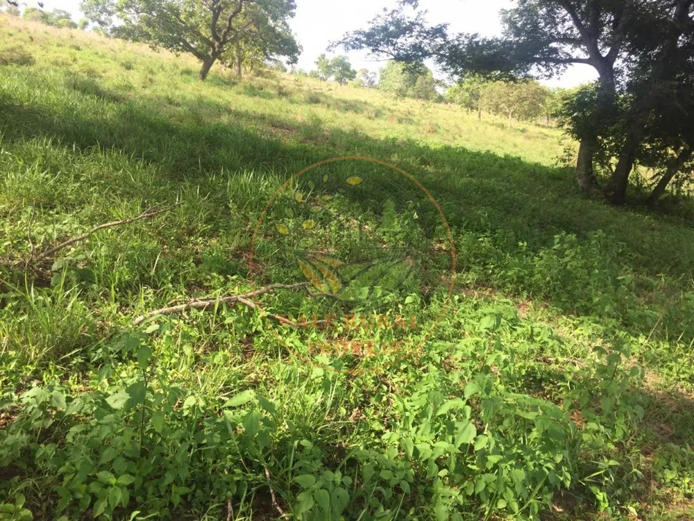 Fazenda, 4 quartos - Foto 5