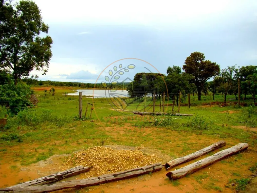Fazenda, 4 quartos - Foto 10