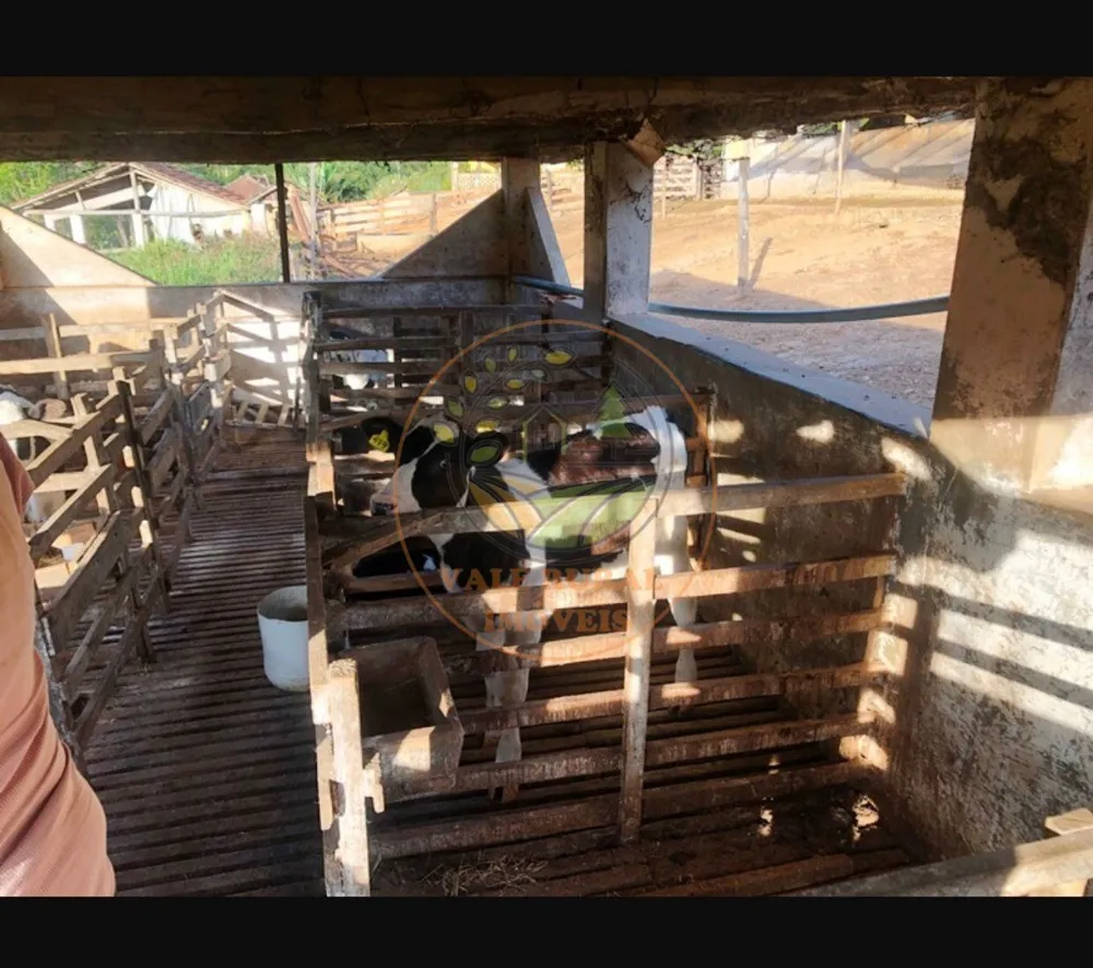 Fazenda, 220 m² - Foto 4