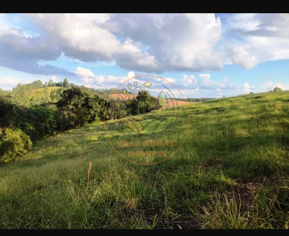 Fazenda, 220 m² - Foto 5
